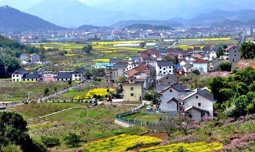 陳文勝：鄉(xiāng)村振興的資本、土地與制度邏輯